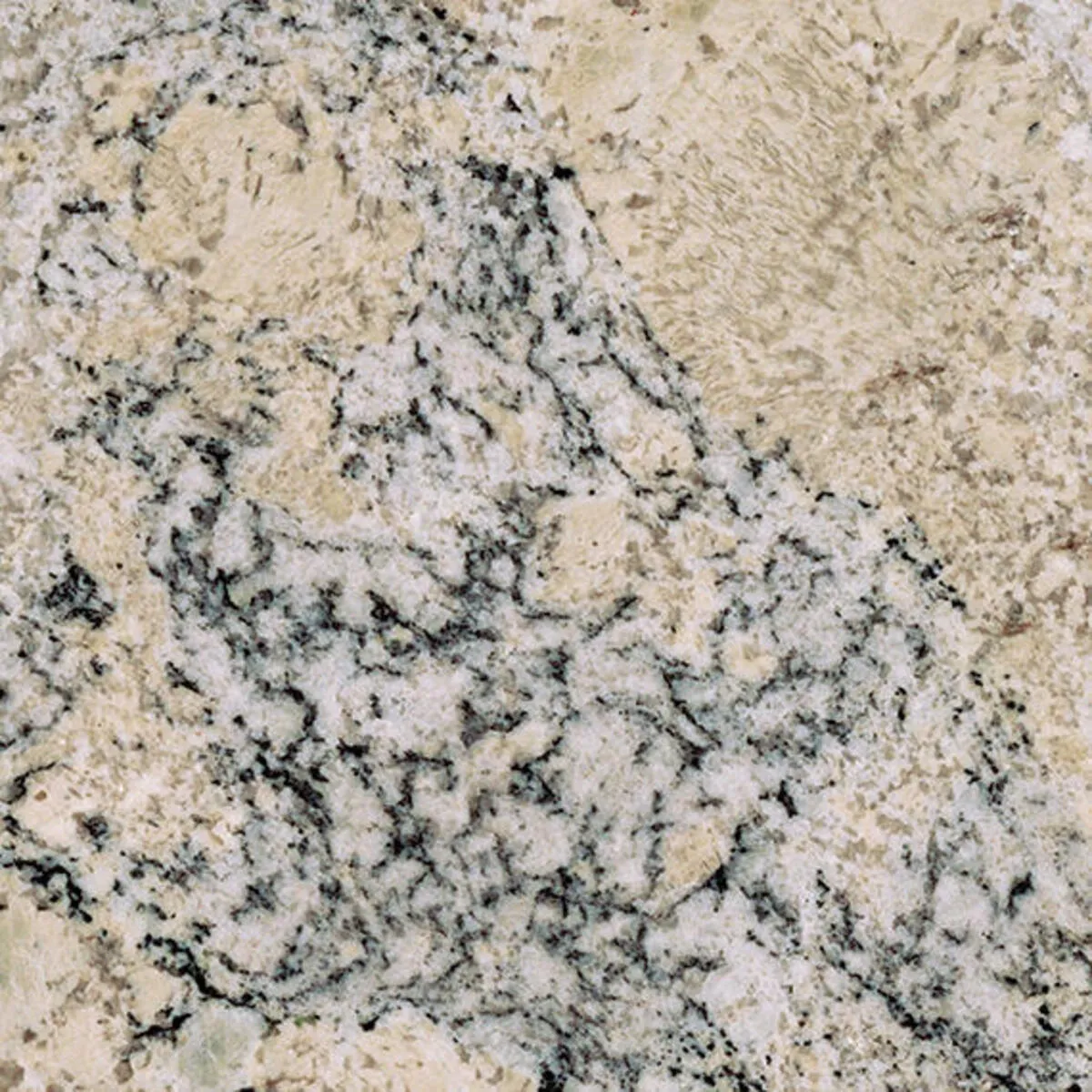 Closeup image of White Ice Beige Granite countertop slab