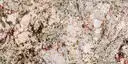 Closeup image of White Spring Cream Granite countertop slab