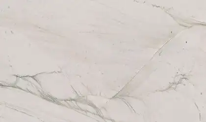 Closeup image of Mont Blanc White Quartzite countertop slab