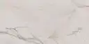 Closeup image of Mont Blanc White Quartzite countertop slab