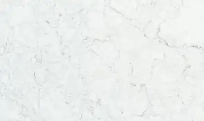 Closeup image of Viatera Carrara Trinita Jumbo White Quartz countertop slab