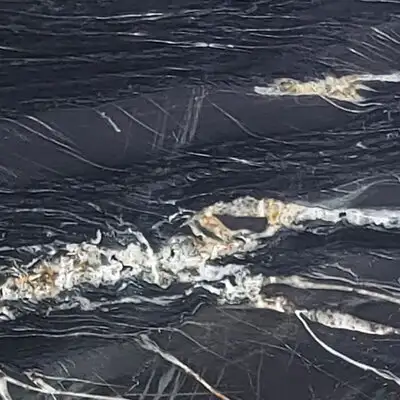 Closeup image of Belvedere Black Granite countertop slab