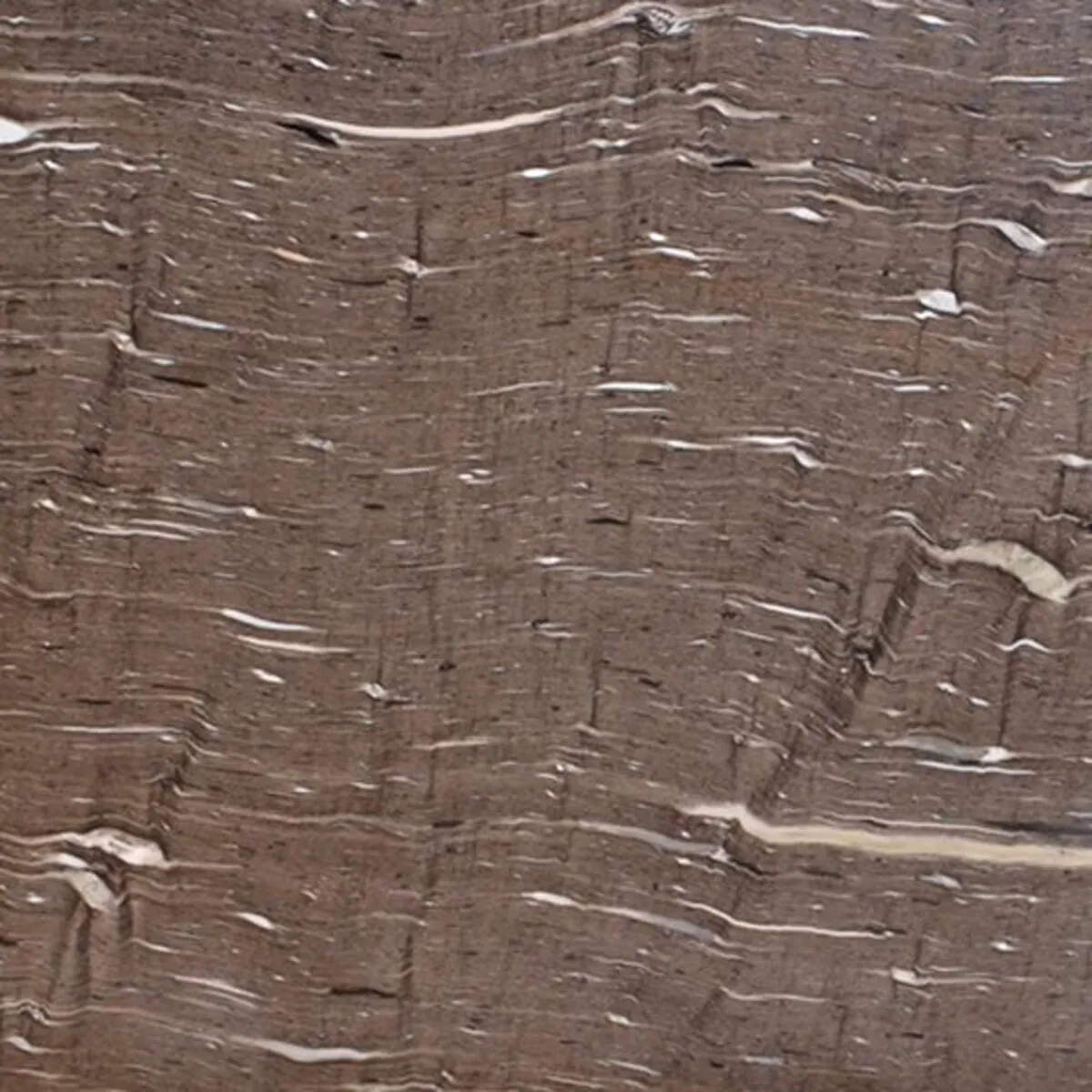 Closeup image of Cygnus Brown Granite countertop slab