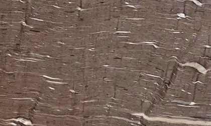 Closeup image of Cygnus Brown Granite countertop slab
