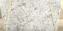 Closeup image of White Galaxy 1st Choice Grey Granite countertop slab