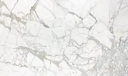 Closeup image of Calacatta Oro White Marble countertop slab