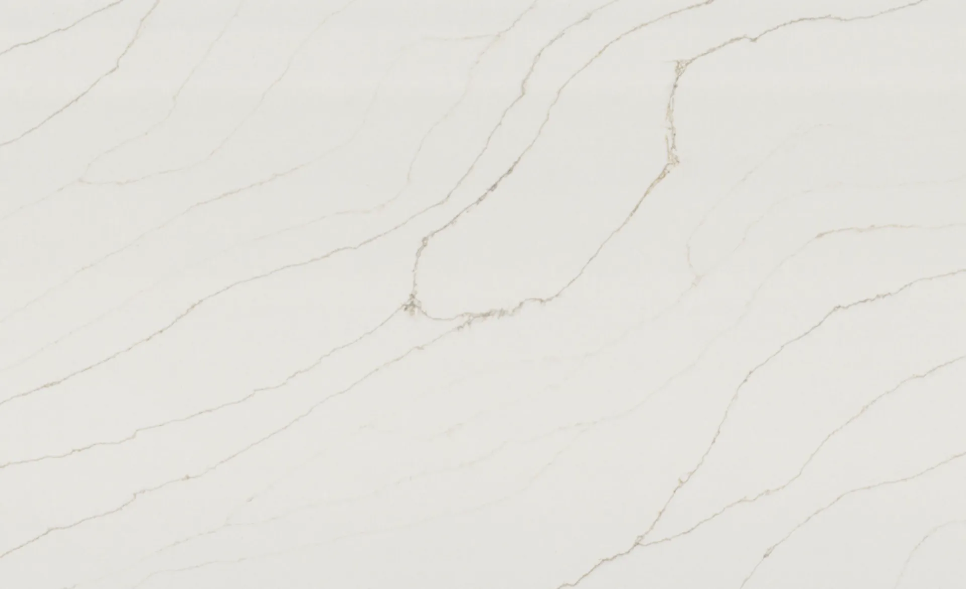 Image of Q Quartz Calacatta Dante White Quartz countertop slab
