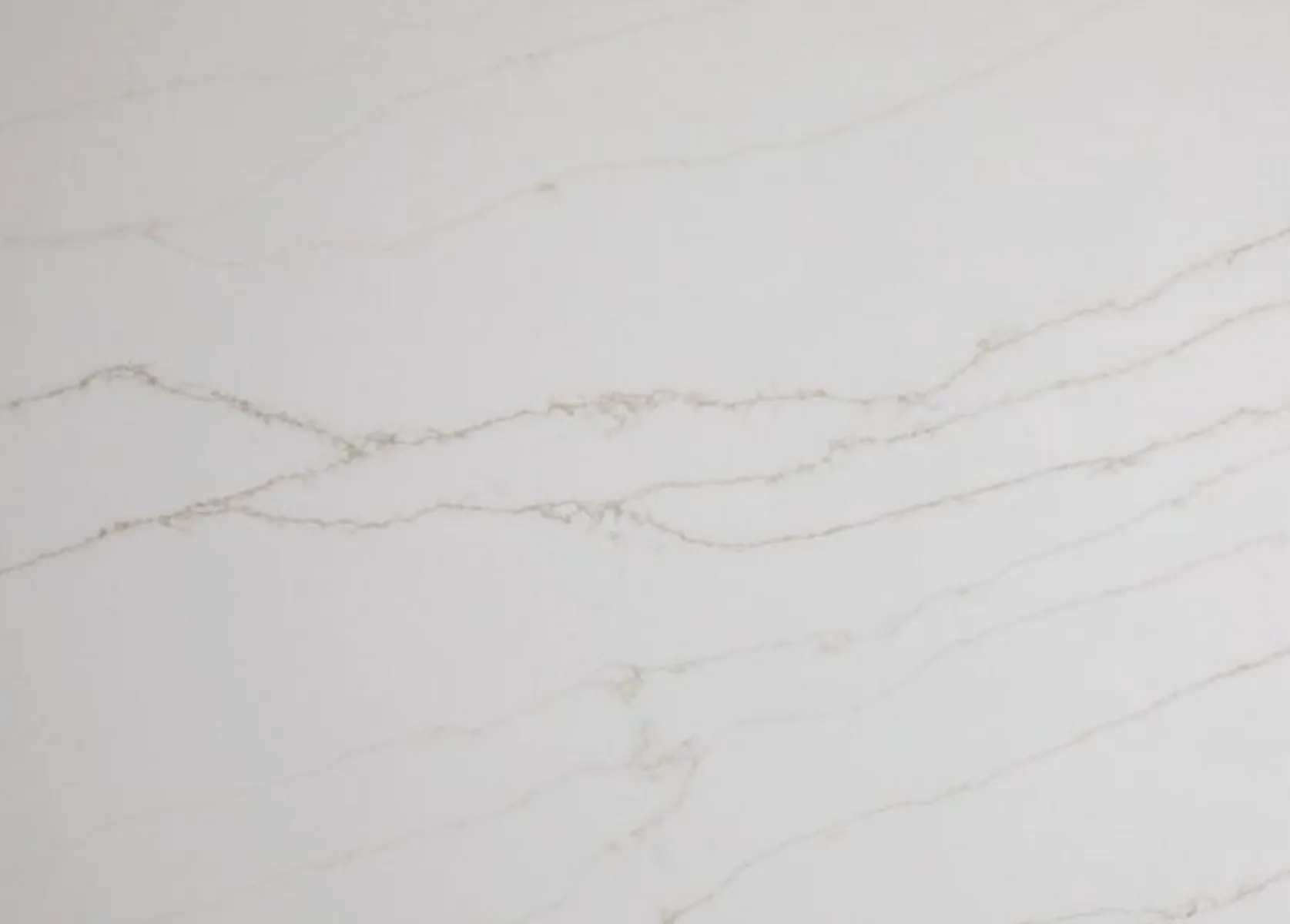 Closeup image of Q Quartz Calacatta Dante White Quartz countertop slab