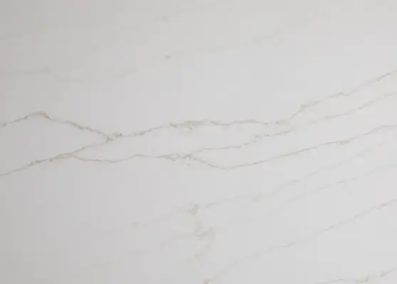 Closeup image of Q Quartz Calacatta Dante White Quartz countertop slab