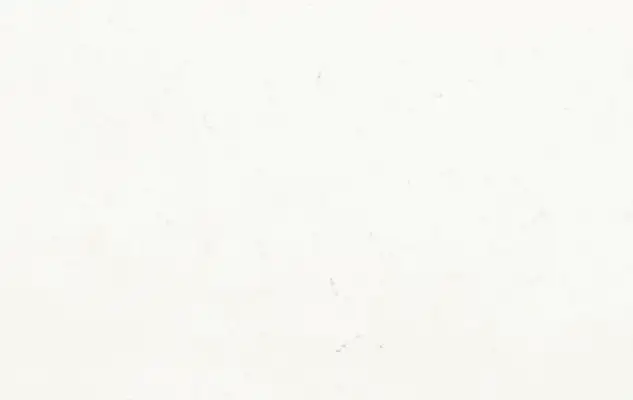 Image of Stratus Quartz Classic Carrara White Quartz countertop slab