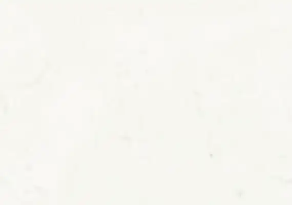 Closeup image of Stratus Quartz Classic Carrara White Quartz countertop slab