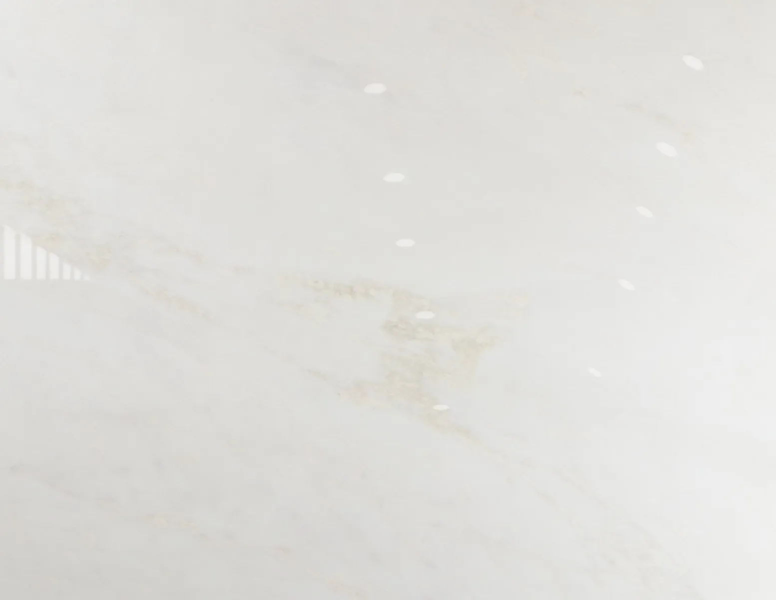 Closeup image of Bianco Rhino White Marble countertop slab