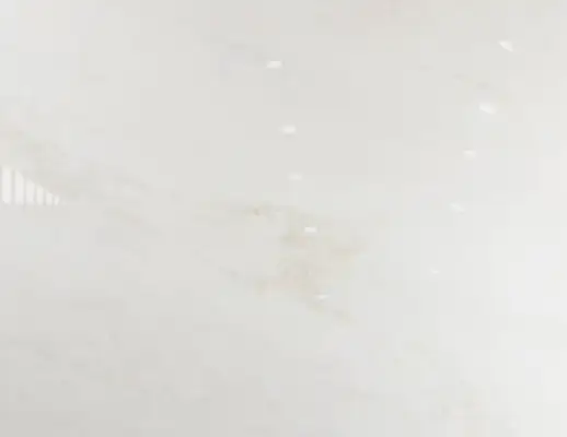 Closeup image of Bianco Rhino White Marble countertop slab