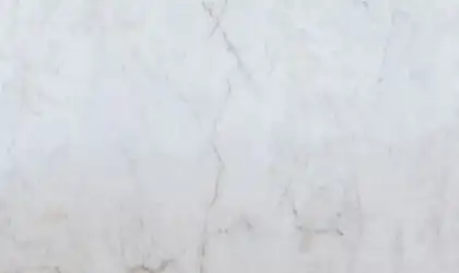 Closeup image of Cristallo White Quartzite countertop slab Stone Countertop