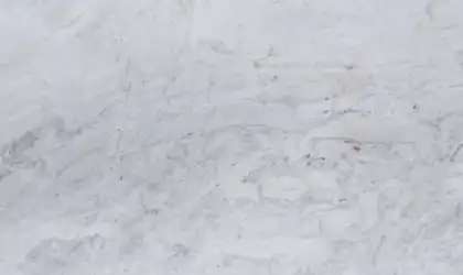 Closeup image of Matarazzo White Marble countertop slab Stone Countertop