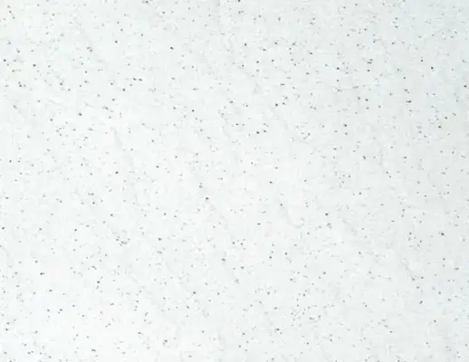 Closeup image of Pitaya White White Granite countertop slab