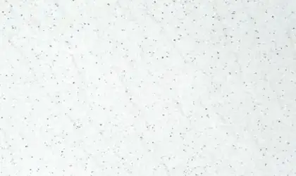 Closeup image of Pitaya White White Granite countertop slab