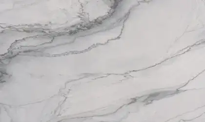 Closeup image of Statuario Quartzite Grey Quartzite countertop slab Stone Countertop