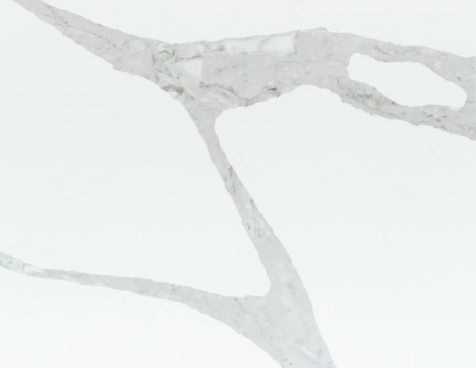 Closeup image of Vicostone Forza White Quartz countertop slab