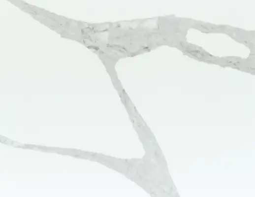Closeup image of Vicostone Forza White Quartz countertop slab