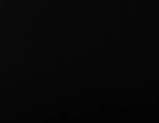 Closeup image of Vicostone Nero Black Quartz countertop slab