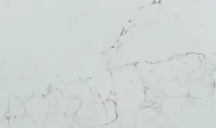 Closeup image of Vicostone Statuario White Quartz countertop slab Stone Countertop