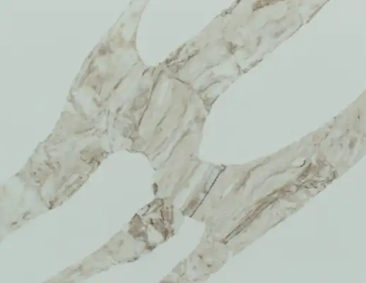 Closeup image of Vicostone Vivalioro White Quartz countertop slab