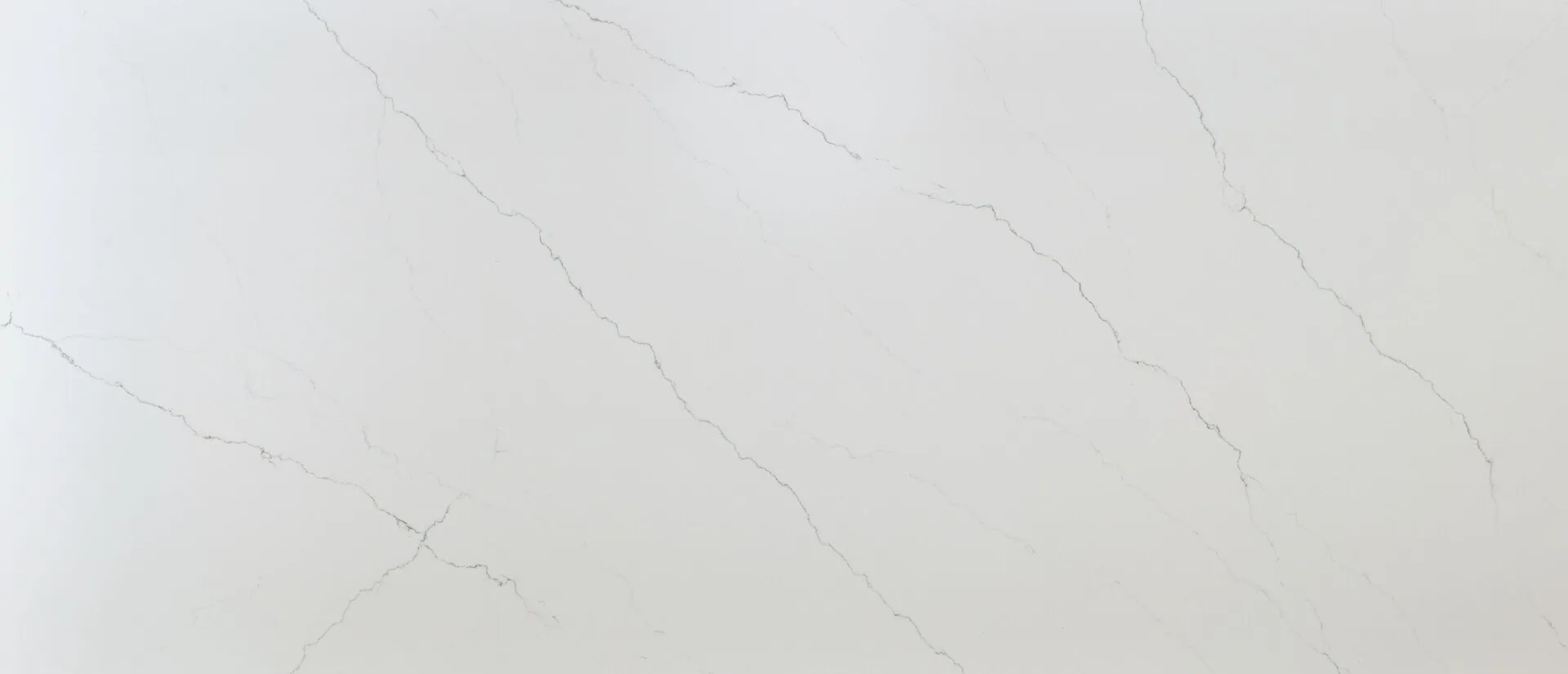 Closeup image of Q Quartz Calacatta Miraggio Honed White Quartz countertop slab