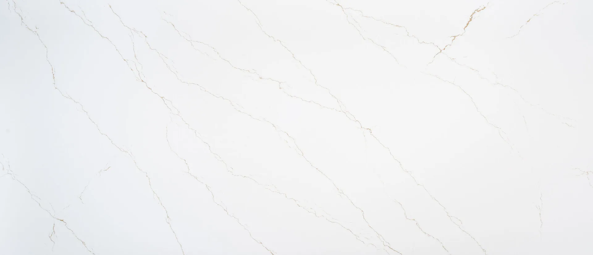 Closeup image of Q Quartz Calacatta Miraggio Gold Honed White Quartz countertop slab