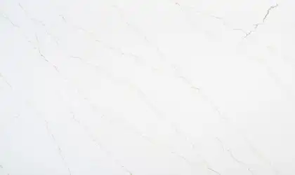 Closeup image of Q Quartz Calacatta Miraggio Gold Honed White Quartz countertop slab