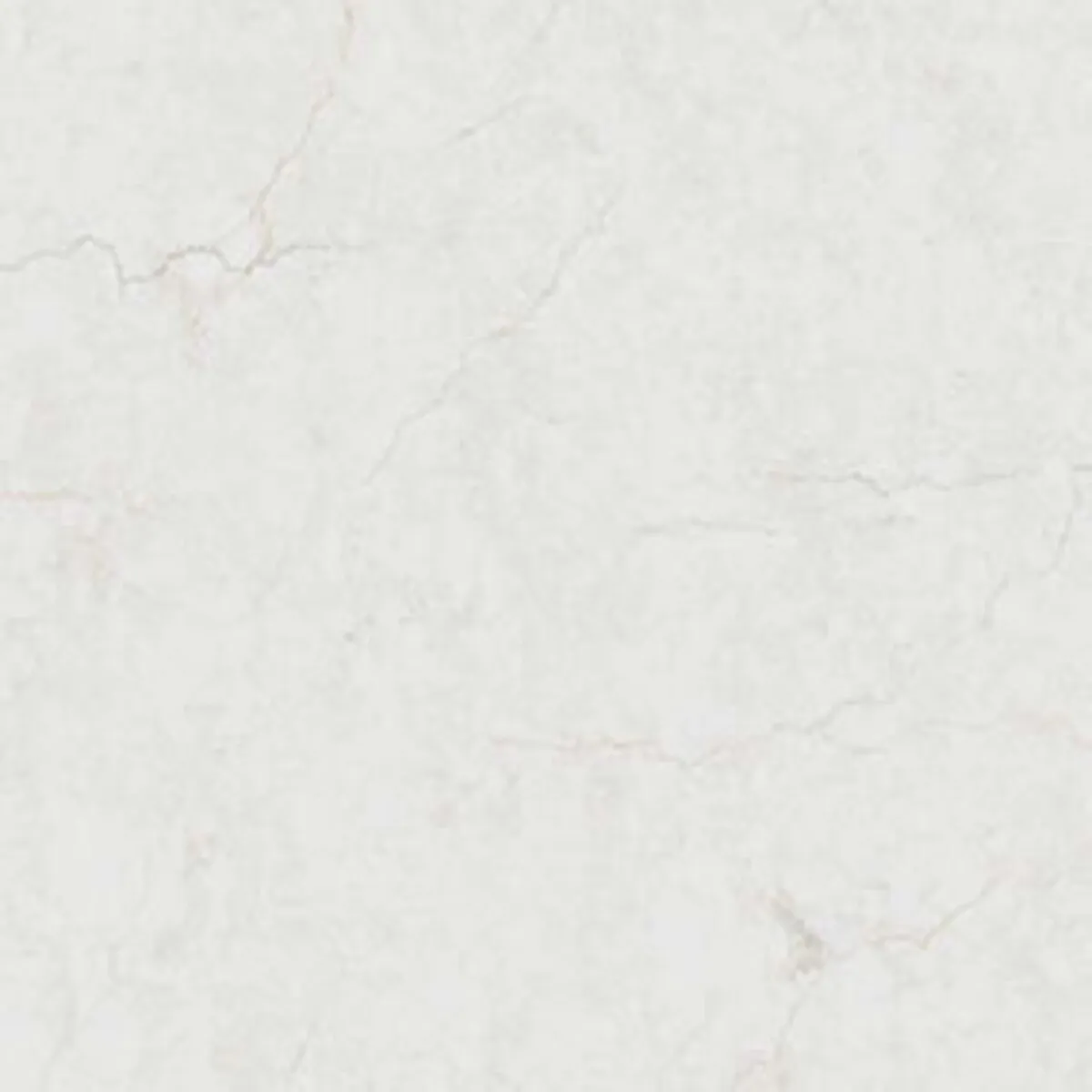 Closeup image of Q Quartz Calacatta Miraggio Cove Honed White Quartz countertop slab