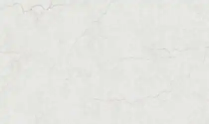 Closeup image of Q Quartz Calacatta Miraggio Cove Honed White Quartz countertop slab