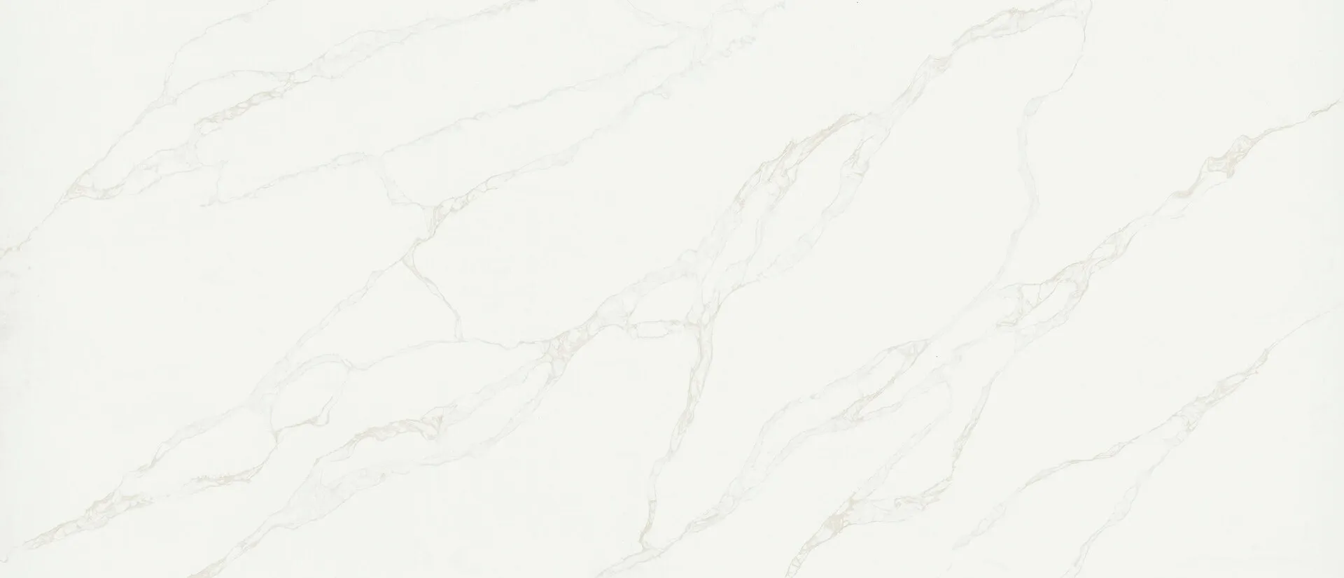Closeup image of Q Quartz Calacatta Rivessa White Quartz countertop slab