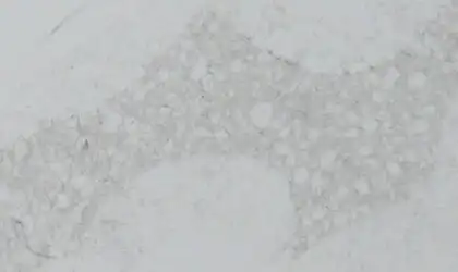 Closeup image of Aggranite Quartz Statuary Nutmeg White Quartz countertop slab