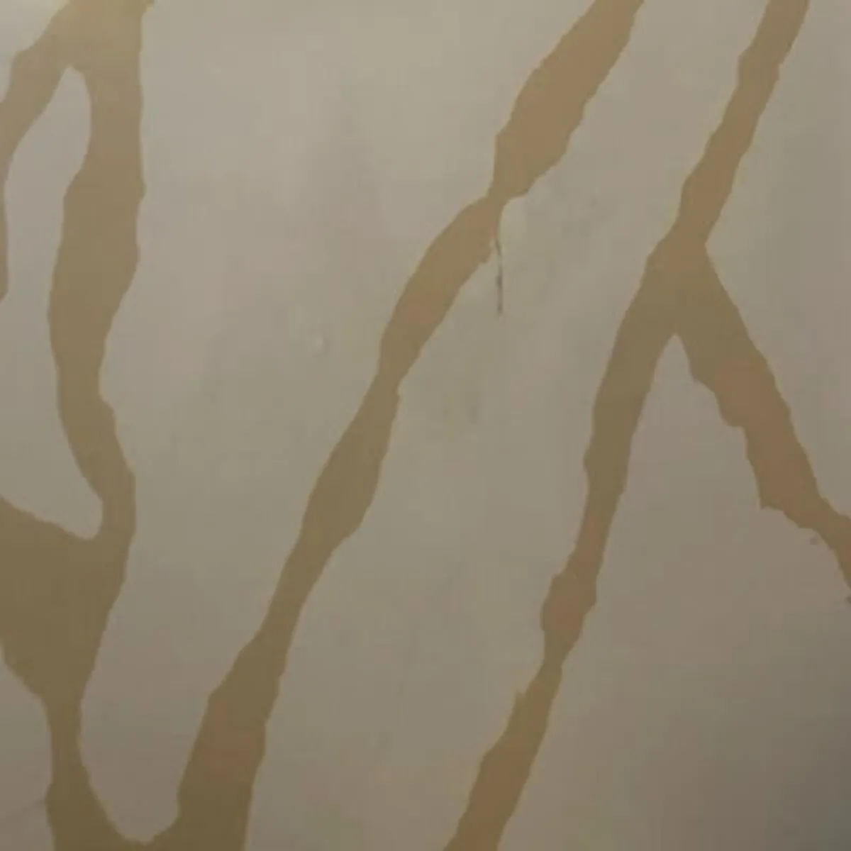 Closeup image of Aggranite Quartz Statuary Simplex Bruno Cream Quartz countertop slab