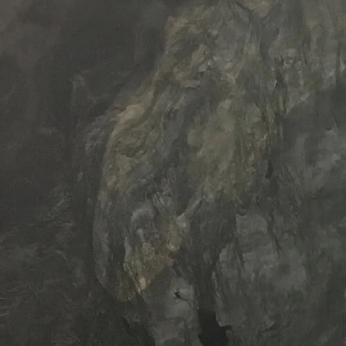 Closeup image of Fantasy Black Grey Granite countertop slab