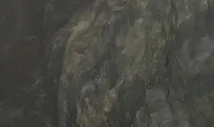 Closeup image of Fantasy Black Grey Granite countertop slab