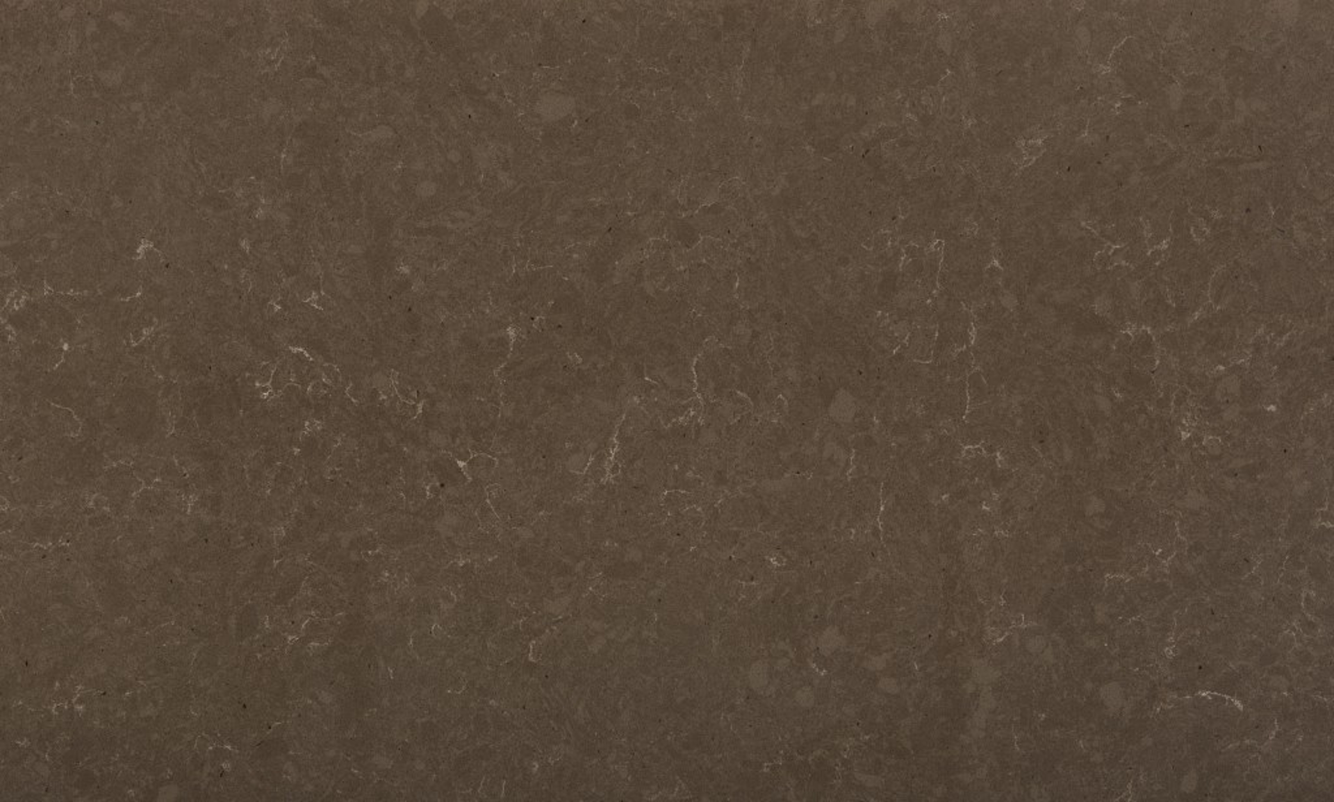 Closeup image of Silestone Ironbark Quartz countertop slab