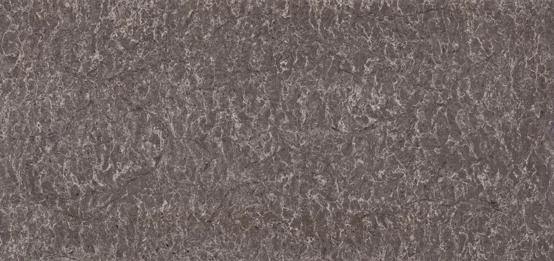 Image of Caesarstone Coastal Grey Quartz countertop slab