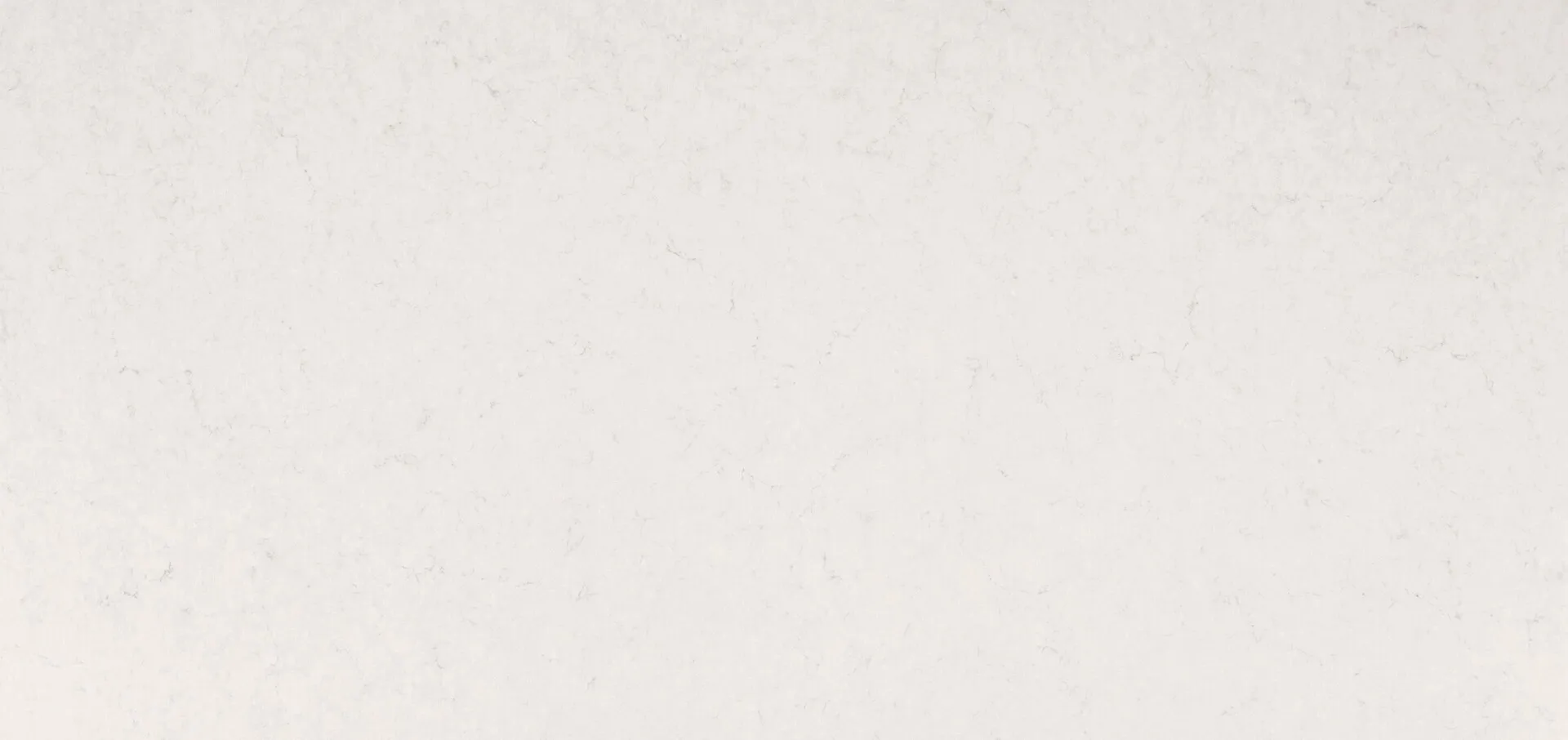 Image of Caesarstone Frosty Carrina Quartz countertop slab