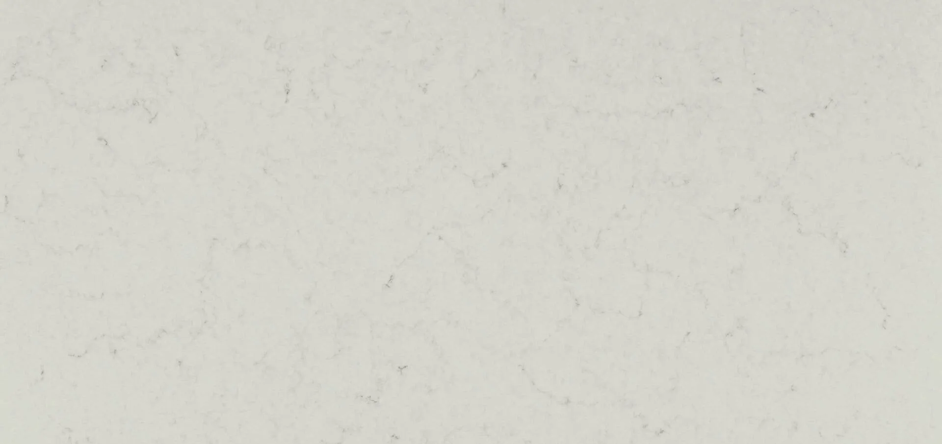Image of Caesarstone London Grey White Quartz countertop slab