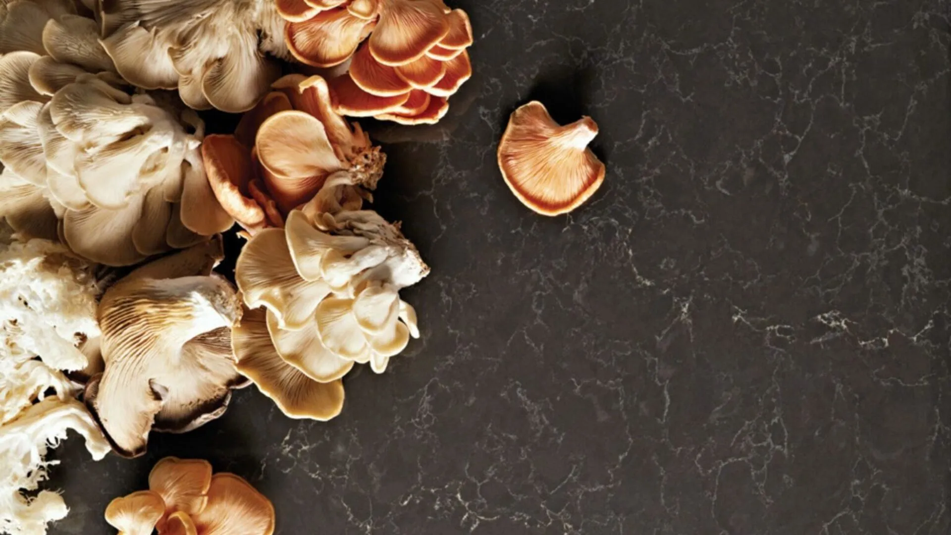 Additional image of Caesarstone Piatra Grey Quartz countertops