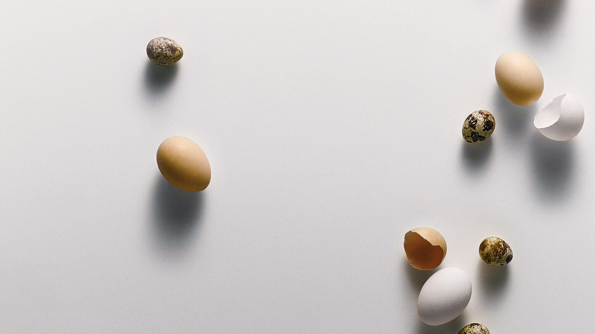 Additional image of Caesarstone Pure White Quartz countertops