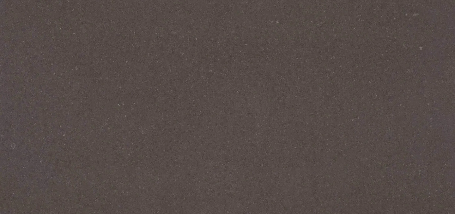 Image of Caesarstone Raven Quartz countertop slab