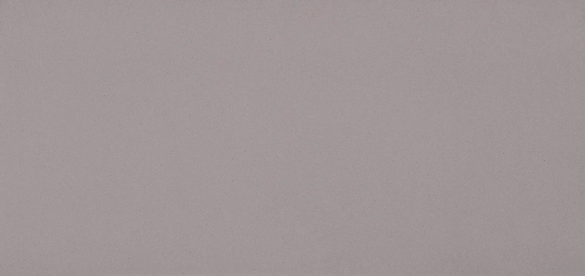 Image of Caesarstone Sleek Concrete Quartz countertop slab