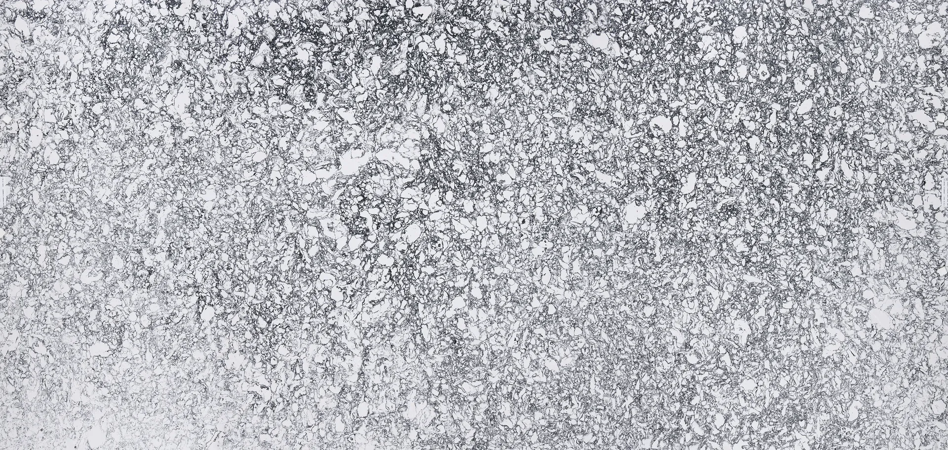 Image of Cambria Rose Bay White Quartz countertop slab