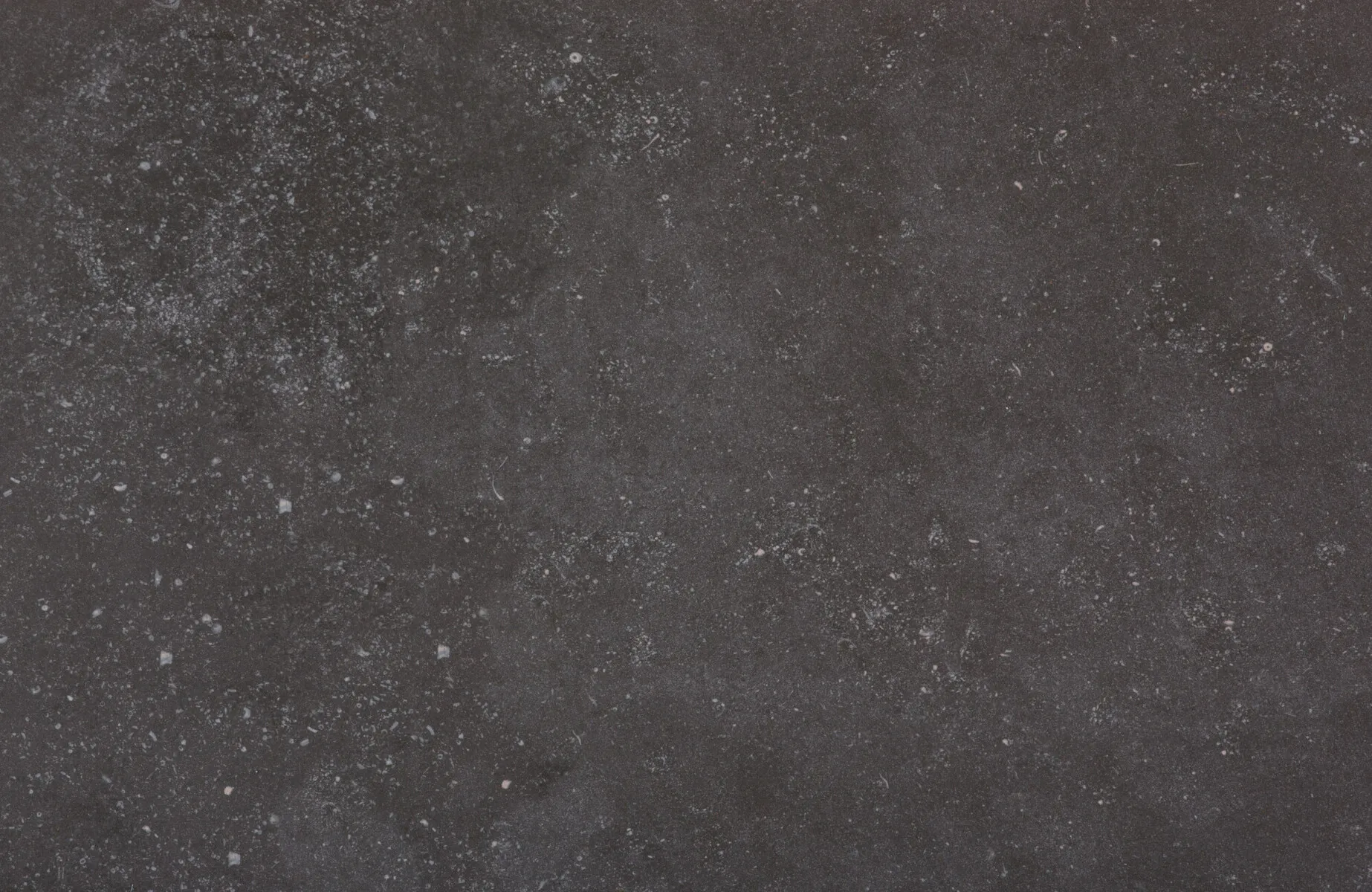 Closeup image of Dekton Fossil Sintered countertop slab