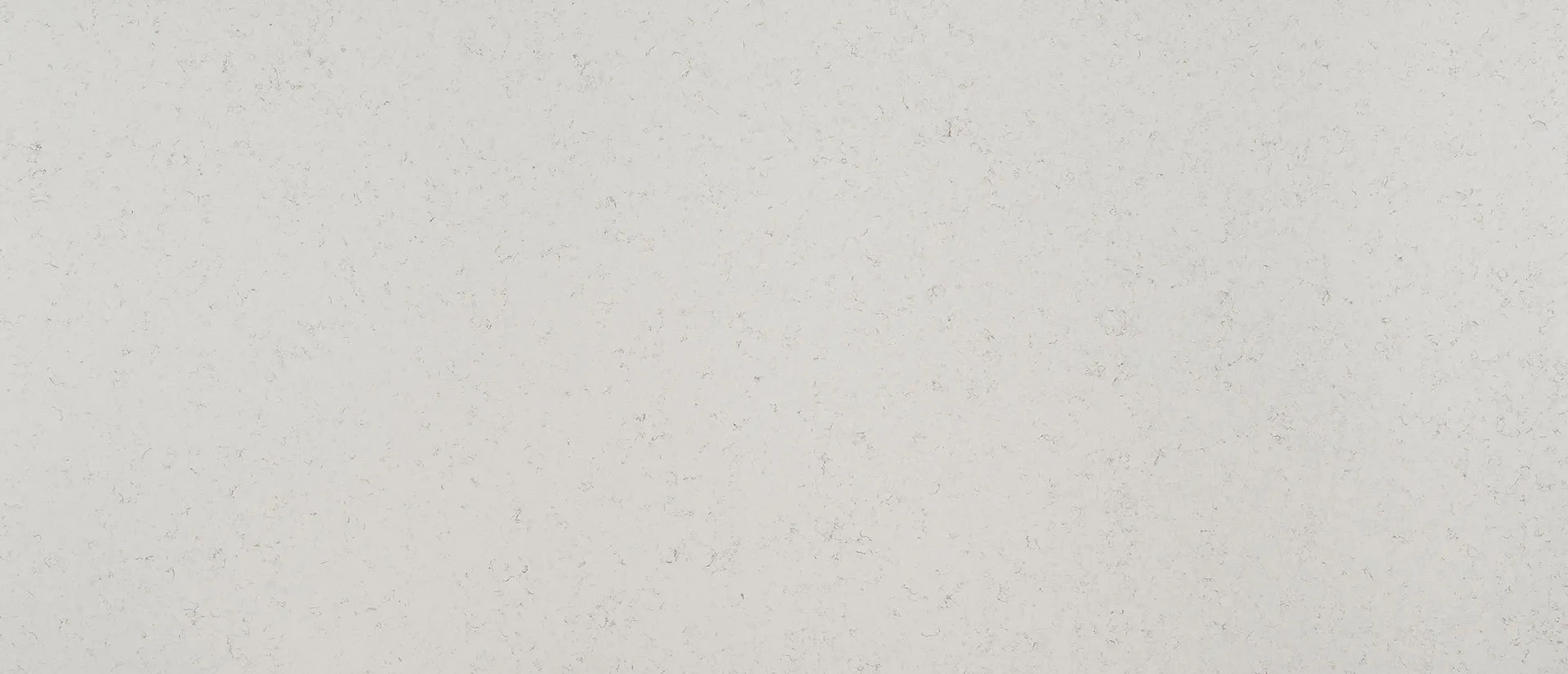 Image of Q Quartz Blanca Statuarietto Quartz countertop slab
