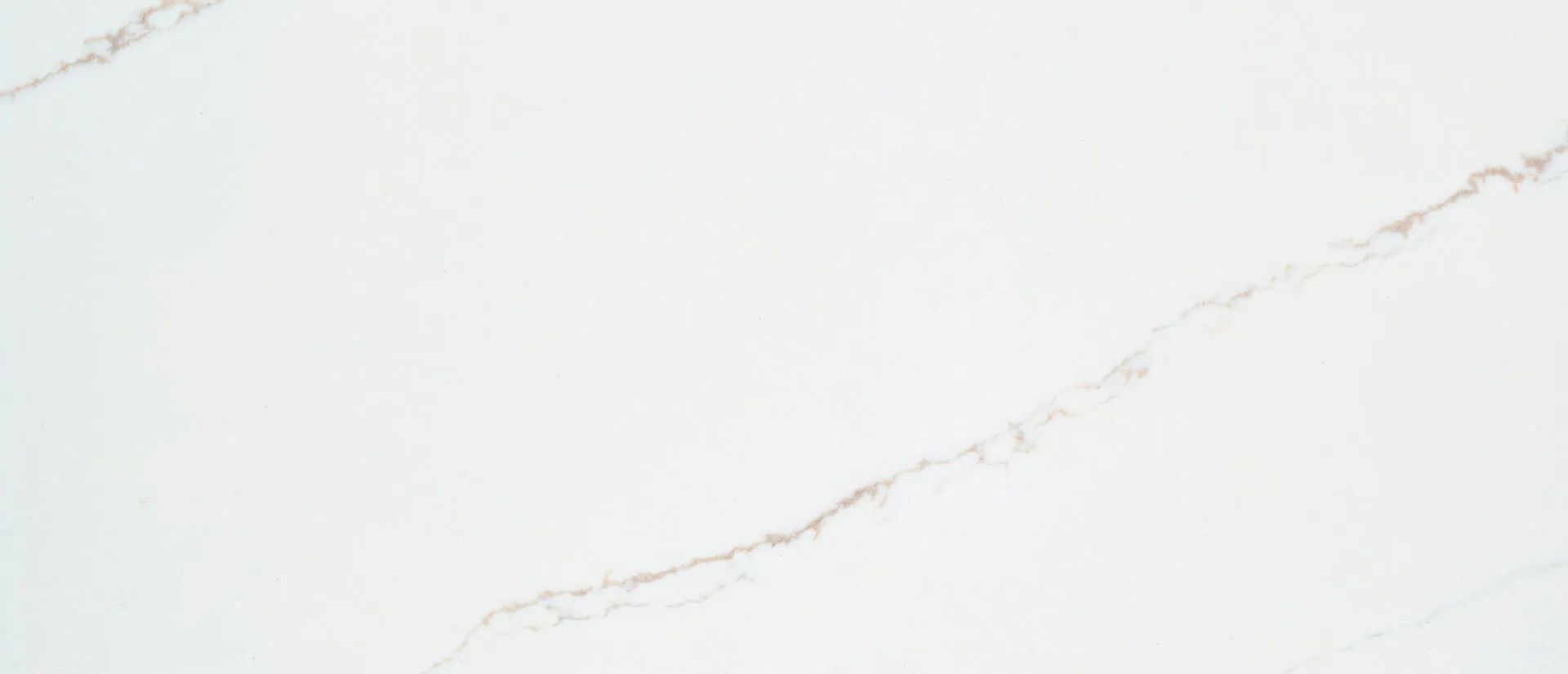 Closeup image of Q Quartz Calacatta Arno Quartz countertop slab