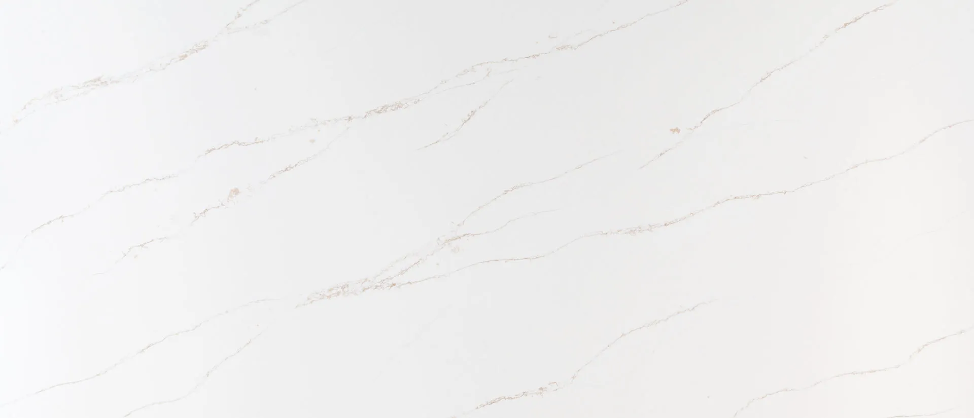 Image of Q Quartz Calacatta Arno Quartz countertop slab